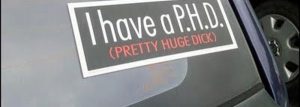 Schmitt Pal phd ja